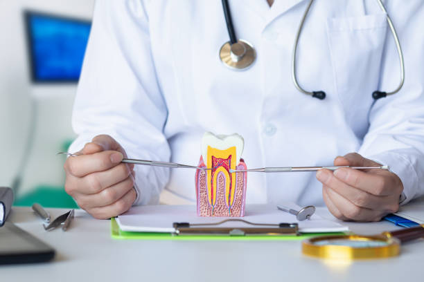 Best Emergency Root Canal Treatment in Green Valley, CA